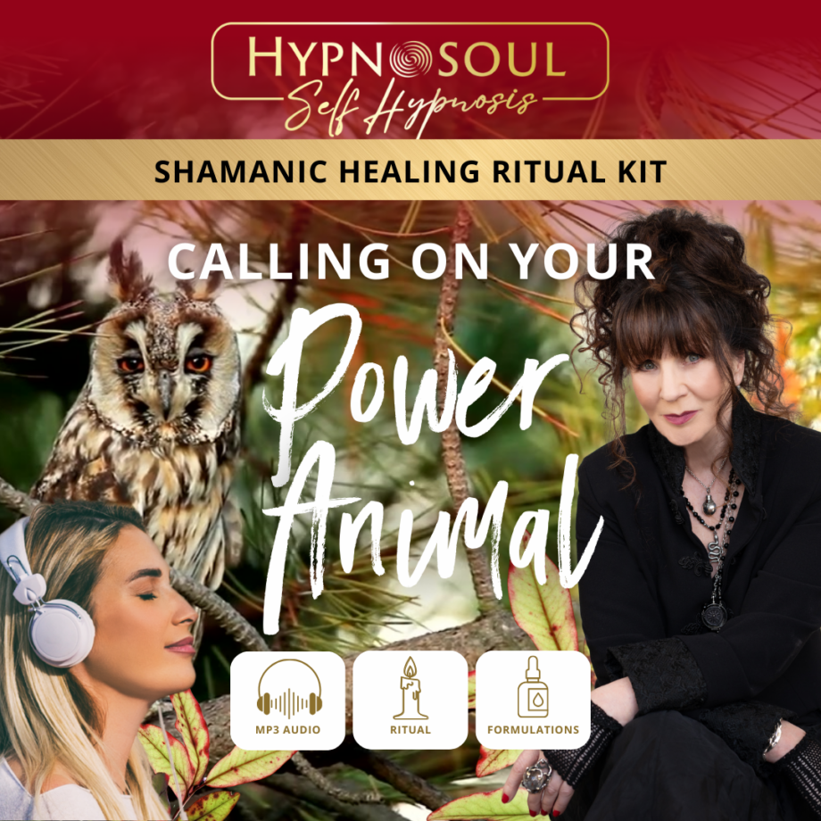 Calling on Your Power Animal - Shamanic Healing Ritual Kit