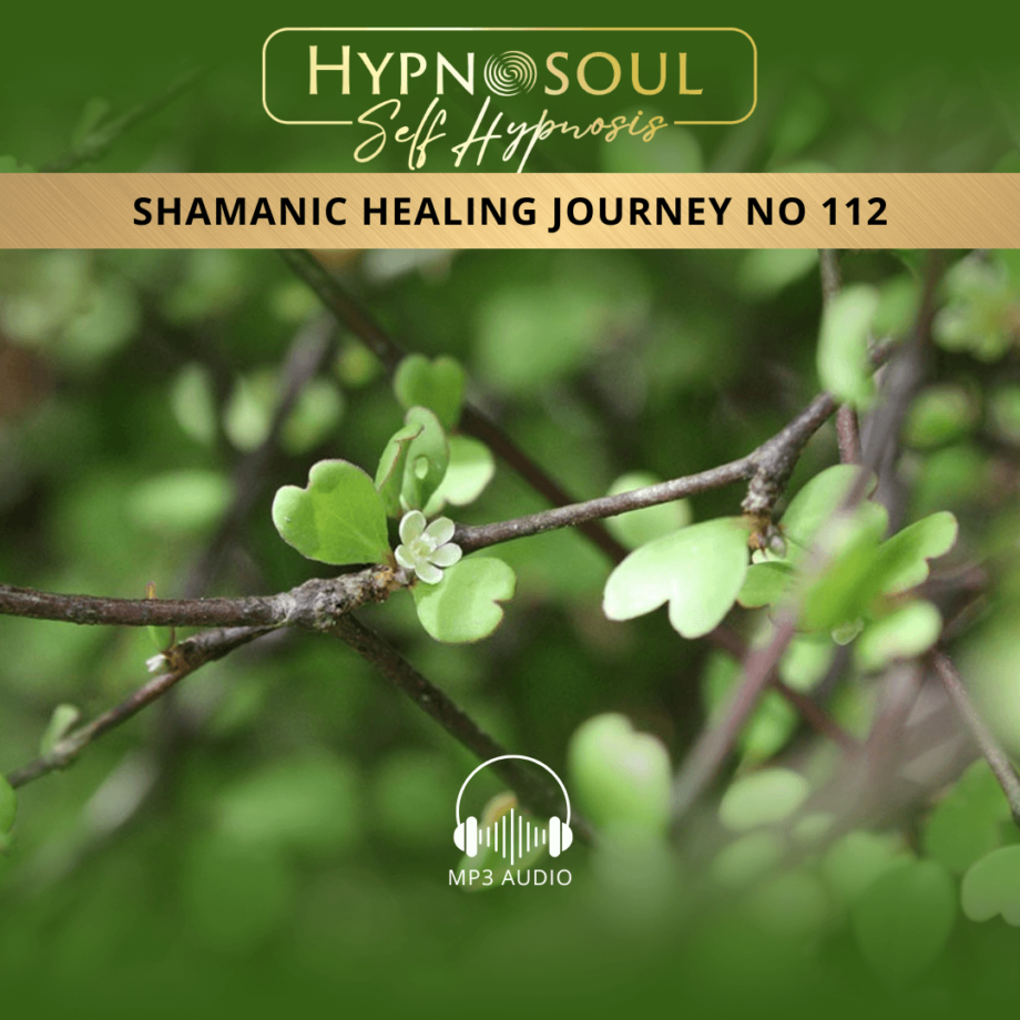 HypnoSoul® Shamanic Healing Journey No 112 - Healing the Heart - Audio