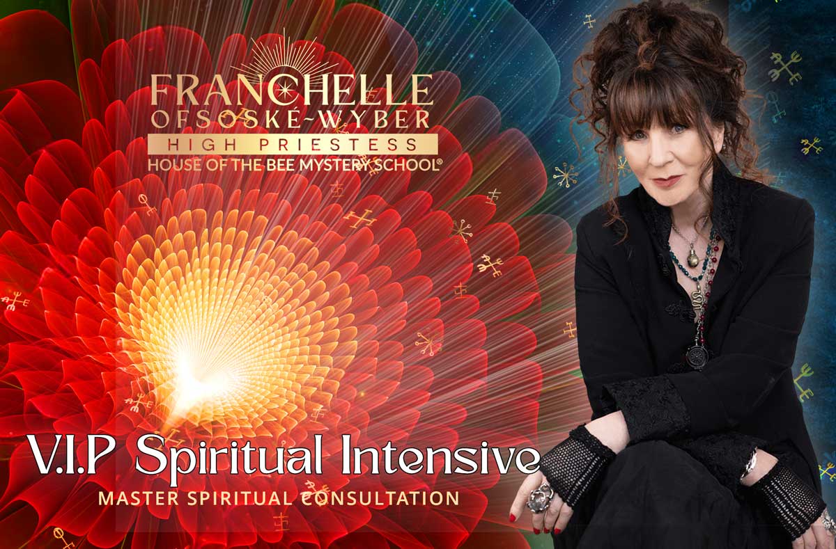 V.I.P Spiritual Intensive - Master Spiritual Consultation